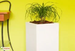 Pot De Fleurs En Polyéthylène Atlantis – 30 X 30 X 47 Cm -Garanta Jardin Magasin bac a fleurs blanc 2