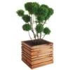 Bac à Fleurs En Bois Lign Z 60 (60x60x50cm) 2 Bac à Fleurs En Bois Lign Z 60 (60x60x50cm) -Garanta Jardin Magasin bac a fleurs en bois