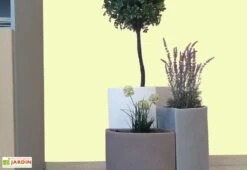 Pot De Fleurs En Polyéthylène Petalo - Ø 50 X 50 Cm 13 Pot De Fleurs En Polyéthylène Petalo - Ø 50 X 50 Cm -Garanta Jardin Magasin bac a fleurs tabac gris blanc