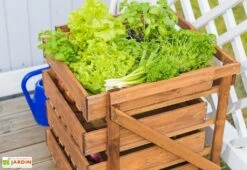 Légumier En Bois Autoclave Brun 4 Tiroirs - 50 X 54 X 60 Cm 10 Légumier En Bois Autoclave Brun 4 Tiroirs - 50 X 54 X 60 Cm -Garanta Jardin Magasin bac legumes bois