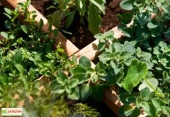 Carré Potager En Bois Autoclave Sur Pieds 80 X 80 Cm H. 88 Cm - Rezekne -Garanta Jardin Magasin bac potager bois sureleve ekju 253394