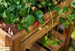 Carré Potager Sur Pieds En Bois Autoclave Brun - 75 X 75 X 79 Cm -Garanta Jardin Magasin carre potager bois 1 1