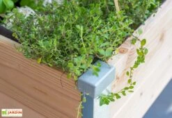 Carré Potager Sur Pied En Bois Douglas 19 Mm – 75 X 80 X 80 Cm 8 Carré Potager Sur Pied En Bois Douglas 19 Mm – 75 X 80 X 80 Cm -Garanta Jardin Magasin carre potager sur pieds bois 19mm douglas france 75x80cm