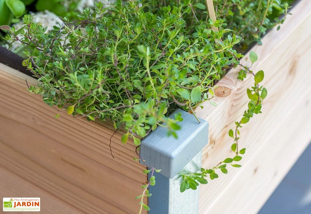 Carré Potager Sur Pied En Bois Douglas 19 Mm – 75 X 80 X 80 Cm 5 Carré Potager Sur Pied En Bois Douglas 19 Mm – 75 X 80 X 80 Cm – Image 3