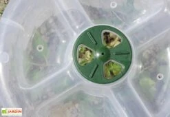 Cloche Potagère à Forcer Modulo ø35 Cm (lot De 3) -Garanta Jardin Magasin cloche potagere modulo 2