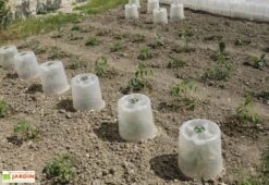 Cloche Potagère à Forcer Modulo ø35 Cm (lot De 3) -Garanta Jardin Magasin cloche potagere modulo 3