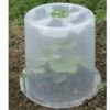 Cloche Potagère à Forcer Modulo ø35 Cm (lot De 3) -Garanta Jardin Magasin cloche potagere modulo 35 polypropylene mini serre