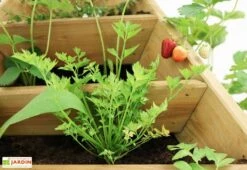 Bac à Fleurs En Bois De Pin Traité Jardinière Pyramide 80 X 76 Cm 5 Bac à Fleurs En Bois De Pin Traité Jardinière Pyramide 80 X 76 Cm -Garanta Jardin Magasin details jardiniere pyramide bois