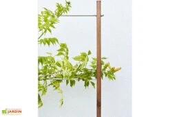 Jardinière Avec Treillis Lign Z (100x30x130cm) 9 Jardinière Avec Treillis Lign Z (100x30x130cm) -Garanta Jardin Magasin details treillis jardiniere bois