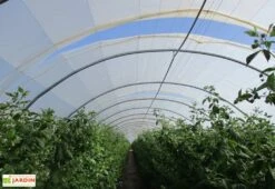 Serre Professionnelle Richel En Acier Et Polyéthylène 8 X 20 M -Garanta Jardin Magasin ecarteur bache serre tunnel richel 8x20m