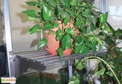 Étagère En Aluminium à Charge Lourde < 40 Kg Pour Serre Palram -Garanta Jardin Magasin etagere aluminium charge lourde 40kg palram heavy duty shelf kit 4