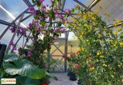 Serre De Jardin En Polycarbonate Et Acier Galvanisé -Garanta Jardin Magasin interieur serre jardin polycarbonate