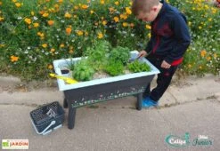 Jardinière Enfant Calipso Mini Junior + Panier Et Acc. – Bleu Pastel -Garanta Jardin Magasin jardiniere enfant calipso 40l panier kajo 4l bleu pastel 2