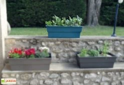 Jardinière Calipso Maxi Basic 40L + Pieds Amovibles – Bleu Canard 10 Jardinière Calipso Maxi Basic 40L + Pieds Amovibles – Bleu Canard -Garanta Jardin Magasin jardiniere polypropylene 40l pieds amovibles calipso maxi basic bleu canard 2