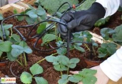 Kit D'irrigation Goutte à Goutte Pour Serre De Jardin Palram-Canopia -Garanta Jardin Magasin kit irrigation serre palram 10m