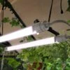 Lampe Horticole LED UV Et Infrarouge – Brighton -Garanta Jardin Magasin lampe horticole led croissance plantes canopia palram brighton