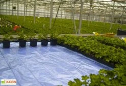 Nappe Chauffante En Aluminium – Largeur 50 Cm (9 Dimensions) -Garanta Jardin Magasin nappe chauffante aluminium largeur 50 cm 9 dimensions 1