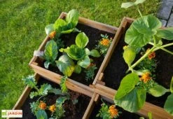 Carré Potager En Bois Autoclave à étages 4 Compartiments - 90 X 90 X 46 Cm 10 Carré Potager En Bois Autoclave à étages 4 Compartiments - 90 X 90 X 46 Cm -Garanta Jardin Magasin plantes potager 4 compartiments