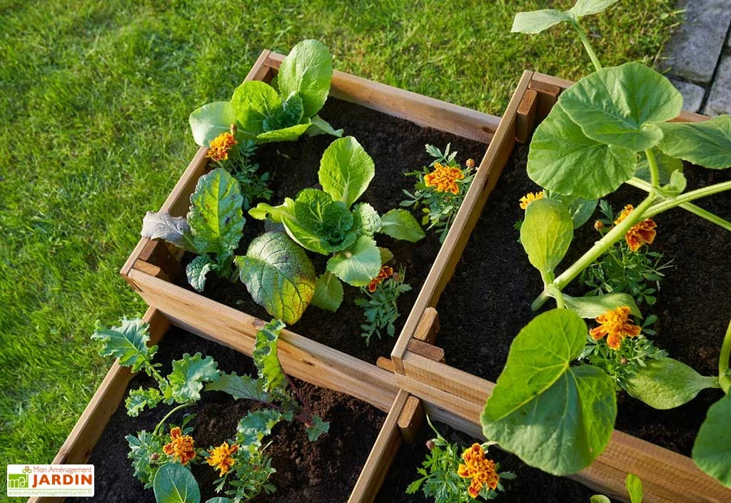 Carré Potager En Bois Autoclave à étages 4 Compartiments - 90 X 90 X 46 Cm 5 Carré Potager En Bois Autoclave à étages 4 Compartiments - 90 X 90 X 46 Cm – Image 3