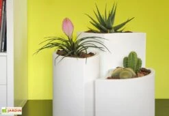 Pot De Fleurs En Polyéthylène Petalo - Ø 50 X 50 Cm 11 Pot De Fleurs En Polyéthylène Petalo - Ø 50 X 50 Cm -Garanta Jardin Magasin pot de fleurs blanc 5