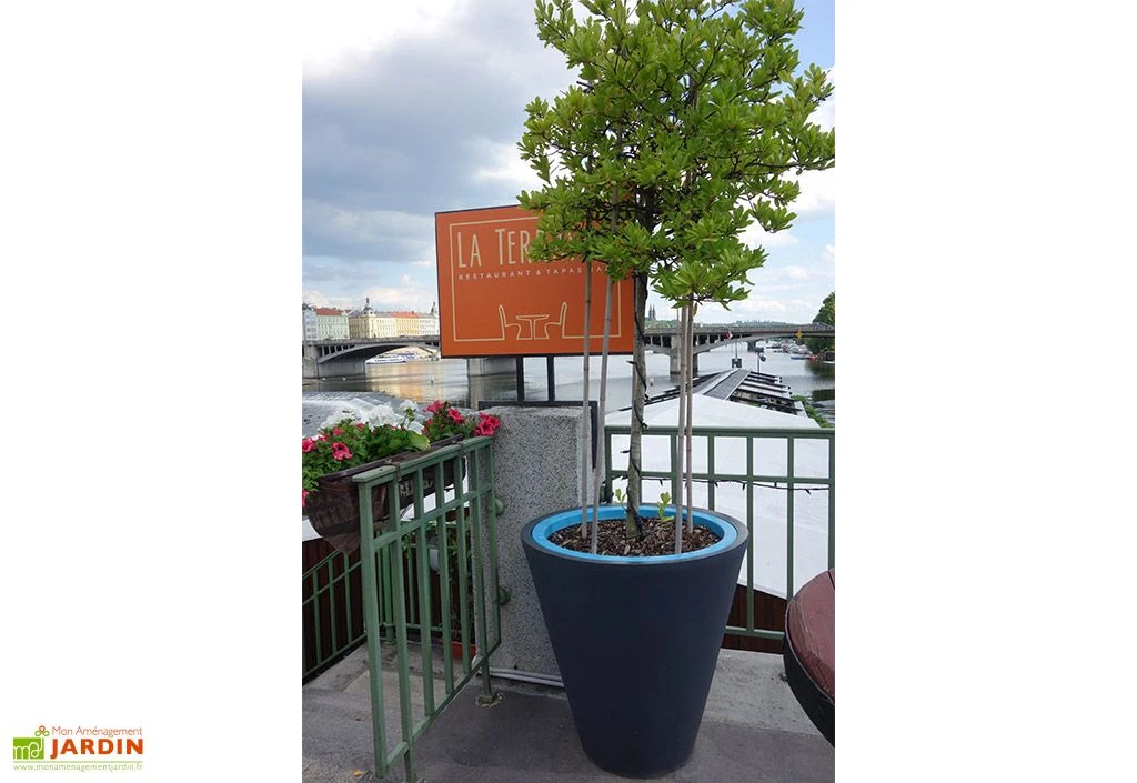 Pot De Fleurs En Plastique Open M Simple Ou Double Paroi (Ø 80 X 80 Cm) 4 Pot De Fleurs En Plastique Open M Simple Ou Double Paroi (Ø 80 X 80 Cm) – Image 2