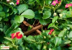 Carré Potager Sur Pieds En Bois Autoclave Brun - 75 X 75 X 79 Cm -Garanta Jardin Magasin potager bois surelever 1