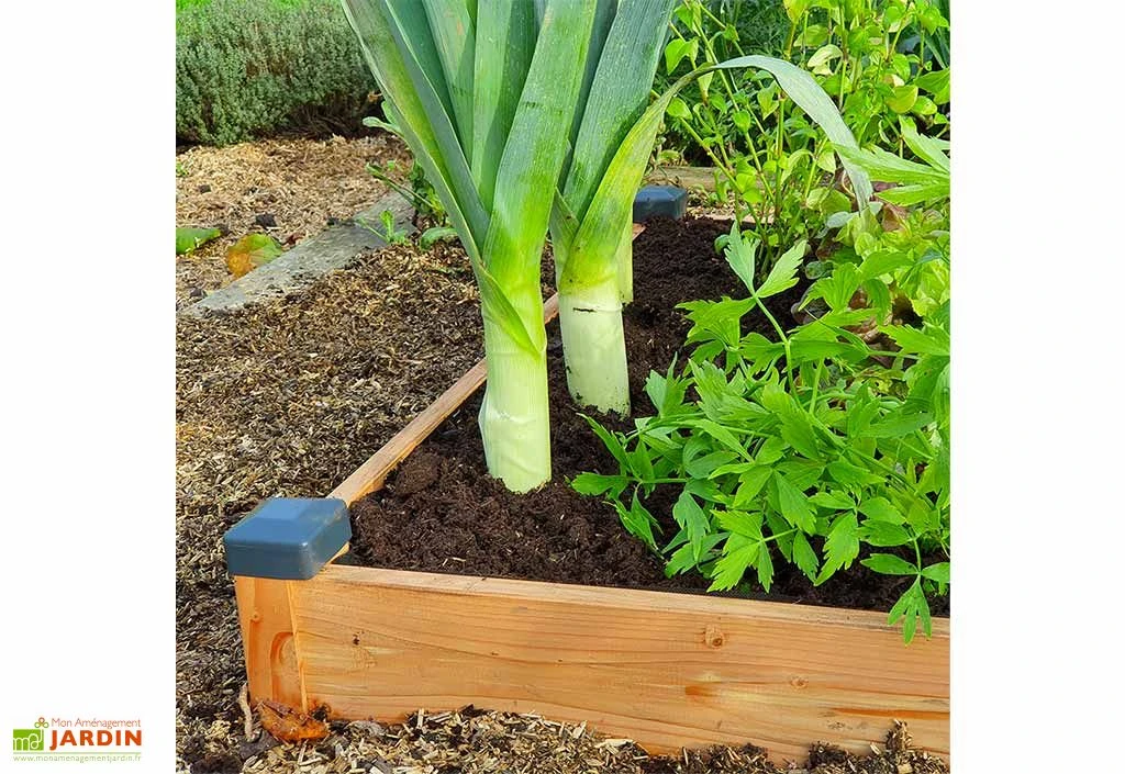 Carré Potager En Bois Douglas Non Traité Premium – 73 L 4 Carré Potager En Bois Douglas Non Traité Premium – 73 L – Image 2