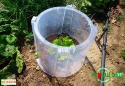 Rehausse Pour Cloche Potagère à Forcer Modulo ø35 Cm (lot De 3) -Garanta Jardin Magasin rehausse cloche potagere mini serre modulo 35 2