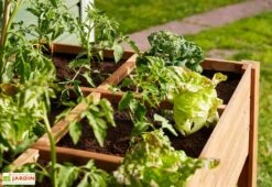 Carré Potager En Bois Autoclave Sur Pieds 120 X 80 Cm H. 88 Cm - Ventspils 11 Carré Potager En Bois Autoclave Sur Pieds 120 X 80 Cm H. 88 Cm - Ventspils -Garanta Jardin Magasin separateur bac potager bois ekju 253478