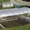 Serre Tunnel Tonneau En Polyéthylène 39 M² - Mini 10,5 X 3,7 M -Garanta Jardin Magasin serre tunnel mini 3 7x10 5