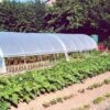Serre Tunnel Tonneau En Polyéthylène 44 M² - Mini 12 X 3,7 M -Garanta Jardin Magasin serre tunnel mini 3 7x12