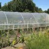 Serre Tunnel Tonneau En Polyéthylène 39 M² - Mini 10,5 X 3,7 M -Garanta Jardin Magasin serre tunnel mini tonneau polyethylene 10 5m