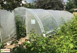 Serre Tunnel Tonneau En Polyéthylène 28 M² - Mini 7,5 X 3,7 M