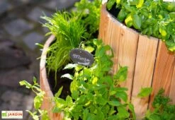 Spirale Aromatique – Jardinière En Bois De Mélèze Ø55 Cm -Garanta Jardin Magasin spirale aromatique jardiniere bois 55cm