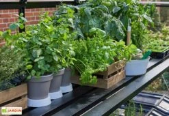 Table De Jardinage En Aluminium Pour Serre Halls Qube 66 (64 X 182 Cm) -Garanta Jardin Magasin table culture aluminium serre halls qube 66 64 182 cm 2