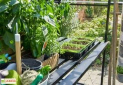 Table De Jardinage En Aluminium Pour Serre Halls Qube 66 (64 X 182 Cm) -Garanta Jardin Magasin table culture aluminium serre halls qube 66 64 182 cm 3