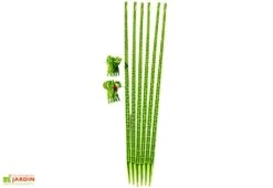 Tuteur Avec Attaches Mikado Vert Anis 150 Cm (Lot De 6)