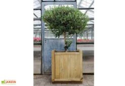 Bac à Fleurs Vendôme 60 Maxi Volume (60x60x65) -Garanta Jardin Magasin vendome ambiance carre 60 60 65 0281405